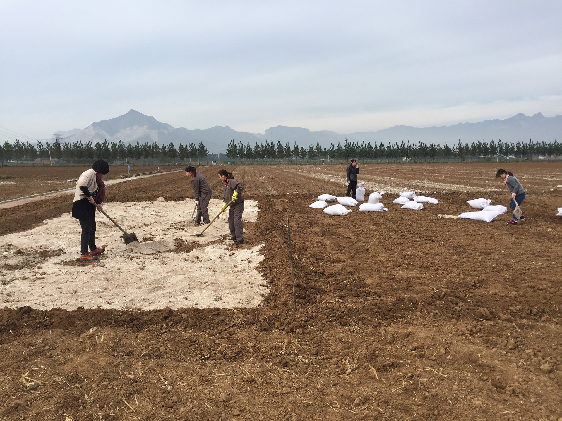 土壤重金属污染修复工程图片2