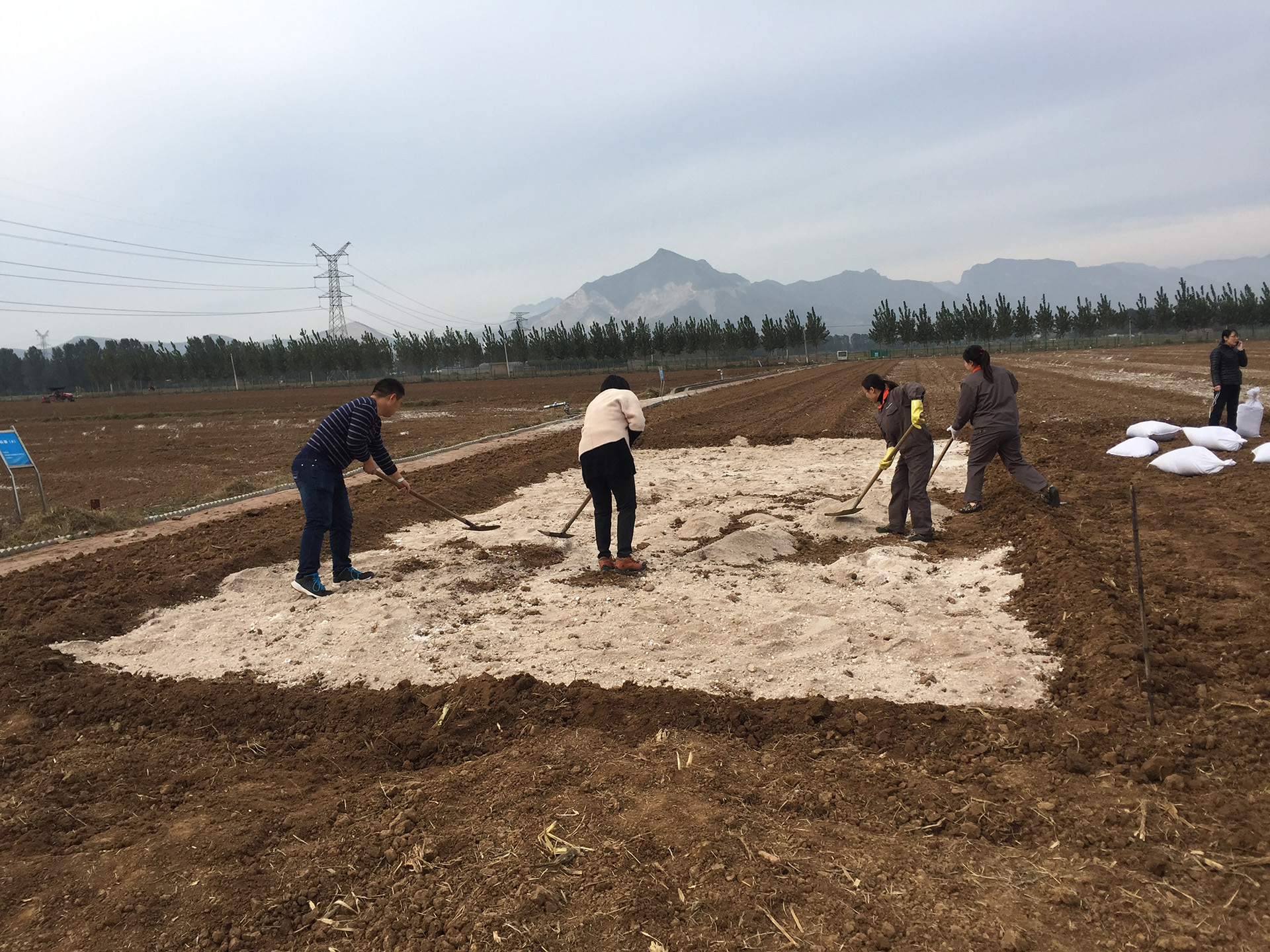土壤重金属污染修复工程图片1